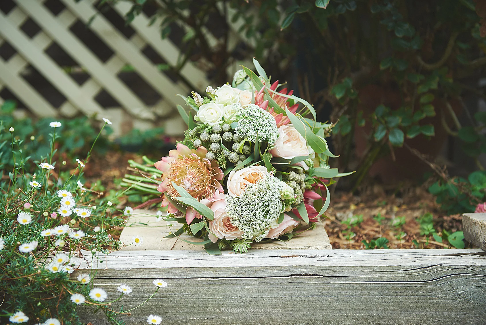 adelaide_botanic_garden_wedding_0025.jpg