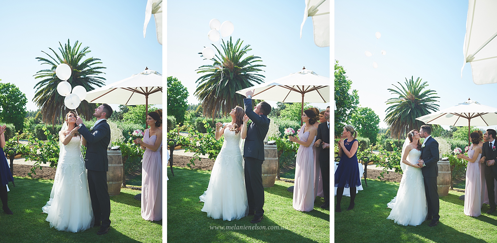 bird_in_hand_wedding_010.jpg
