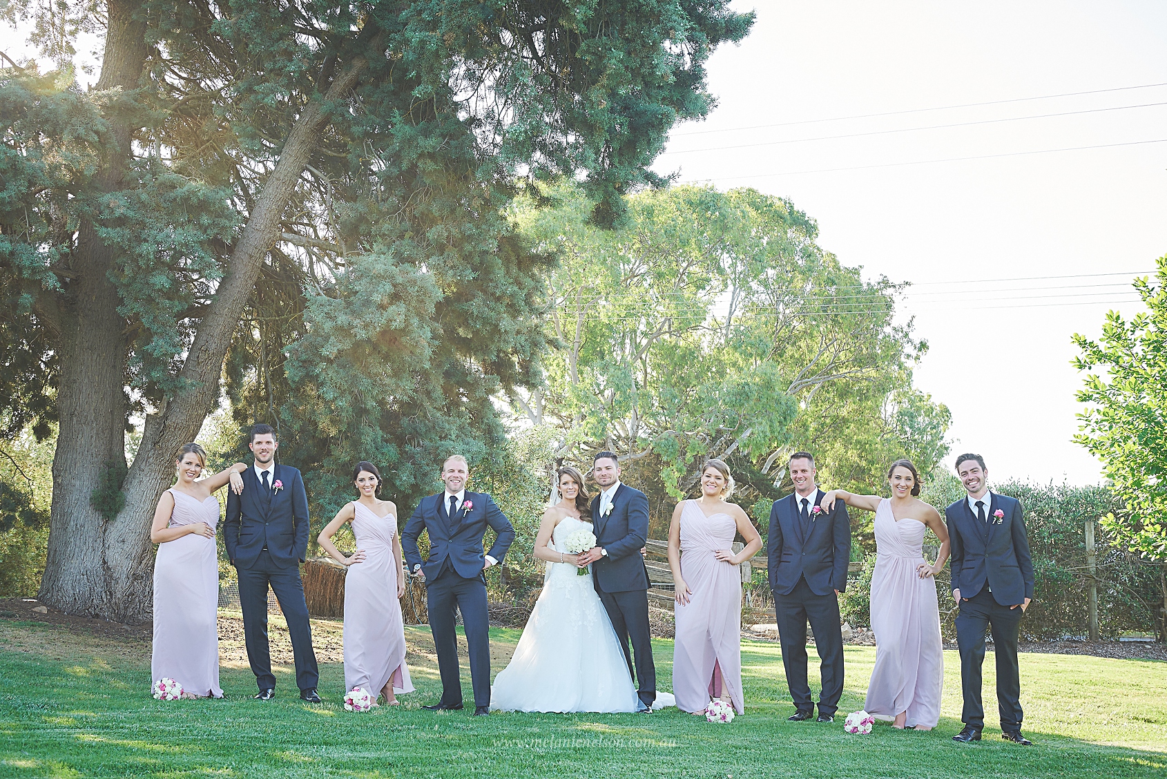 bird_in_hand_wedding_017.jpg