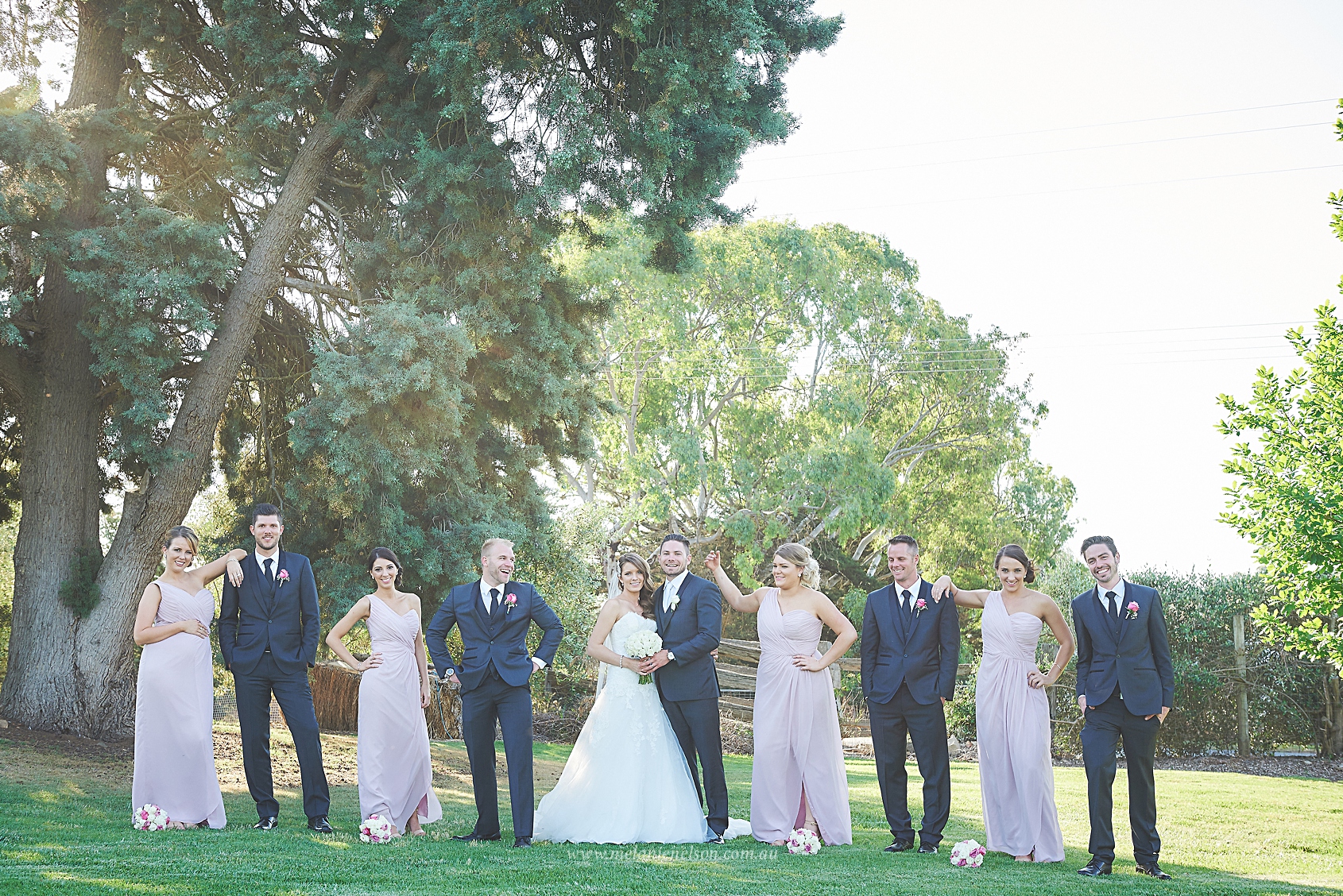 bird_in_hand_wedding_018.jpg