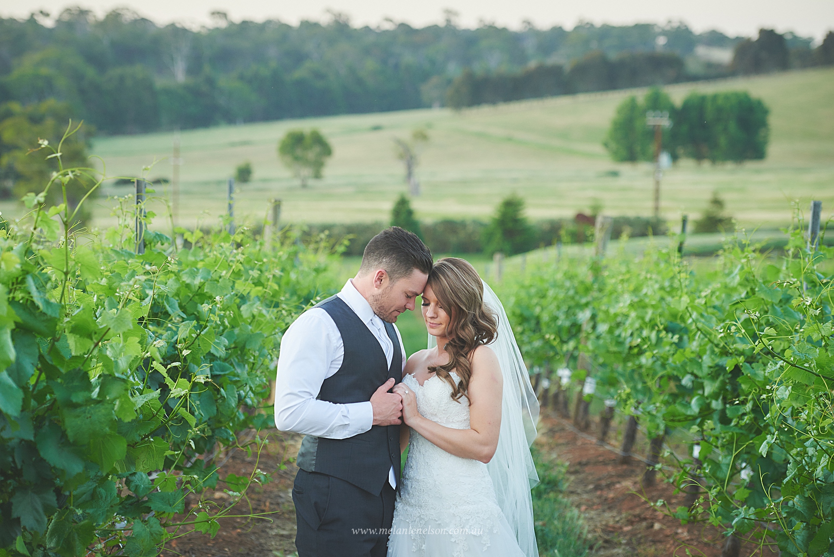 bird_in_hand_wedding_030.jpg
