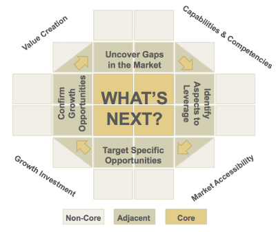 What's+Next+Framework.png