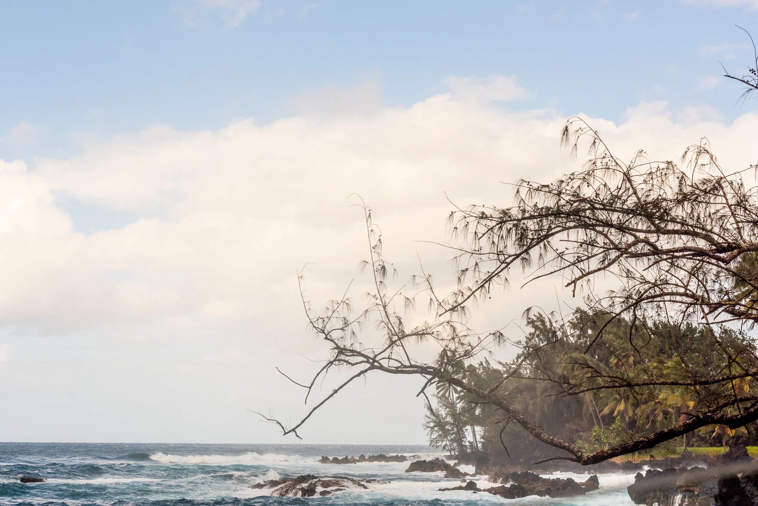 Hana, Maui, 2020 