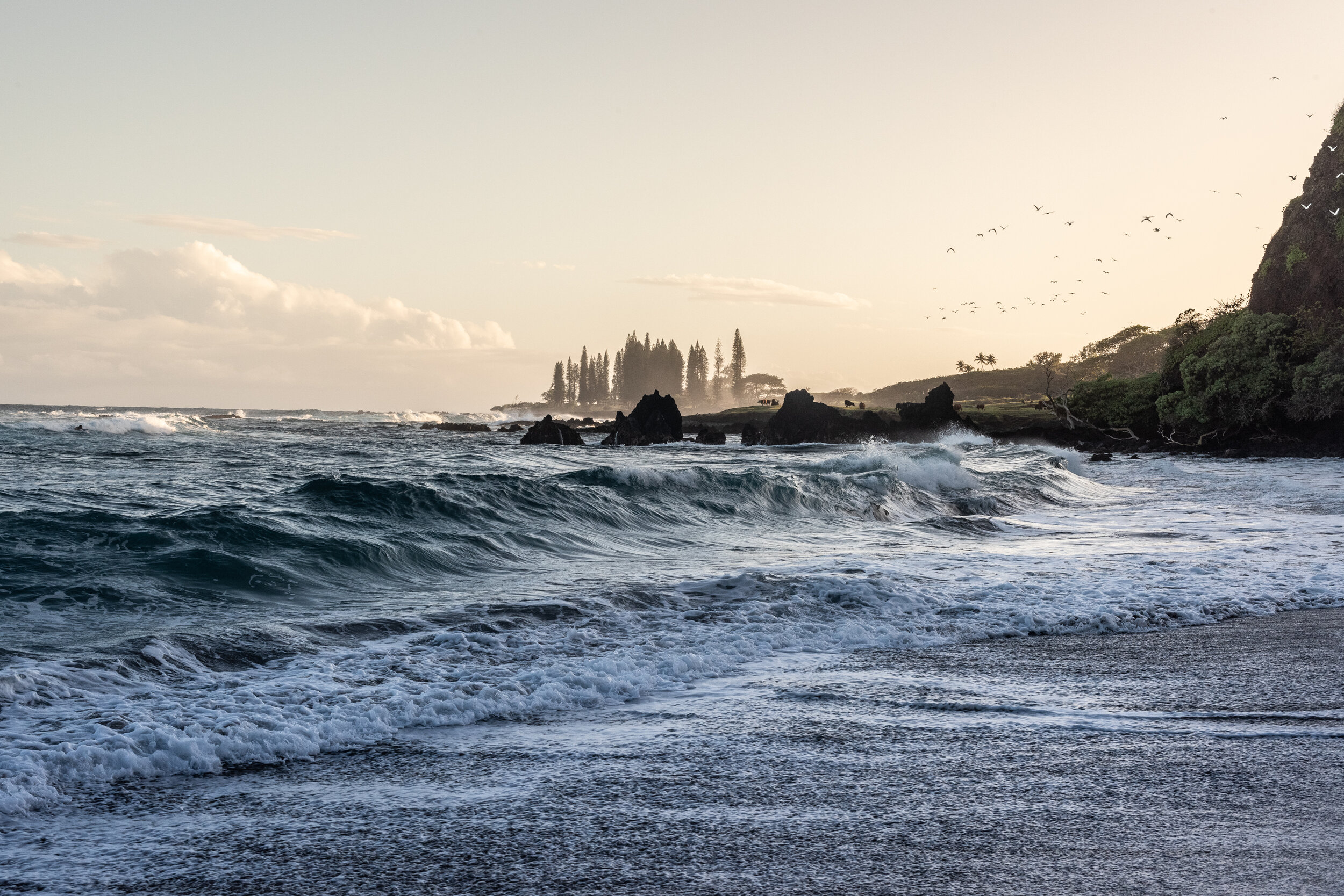  Hana, Maui, 2020 