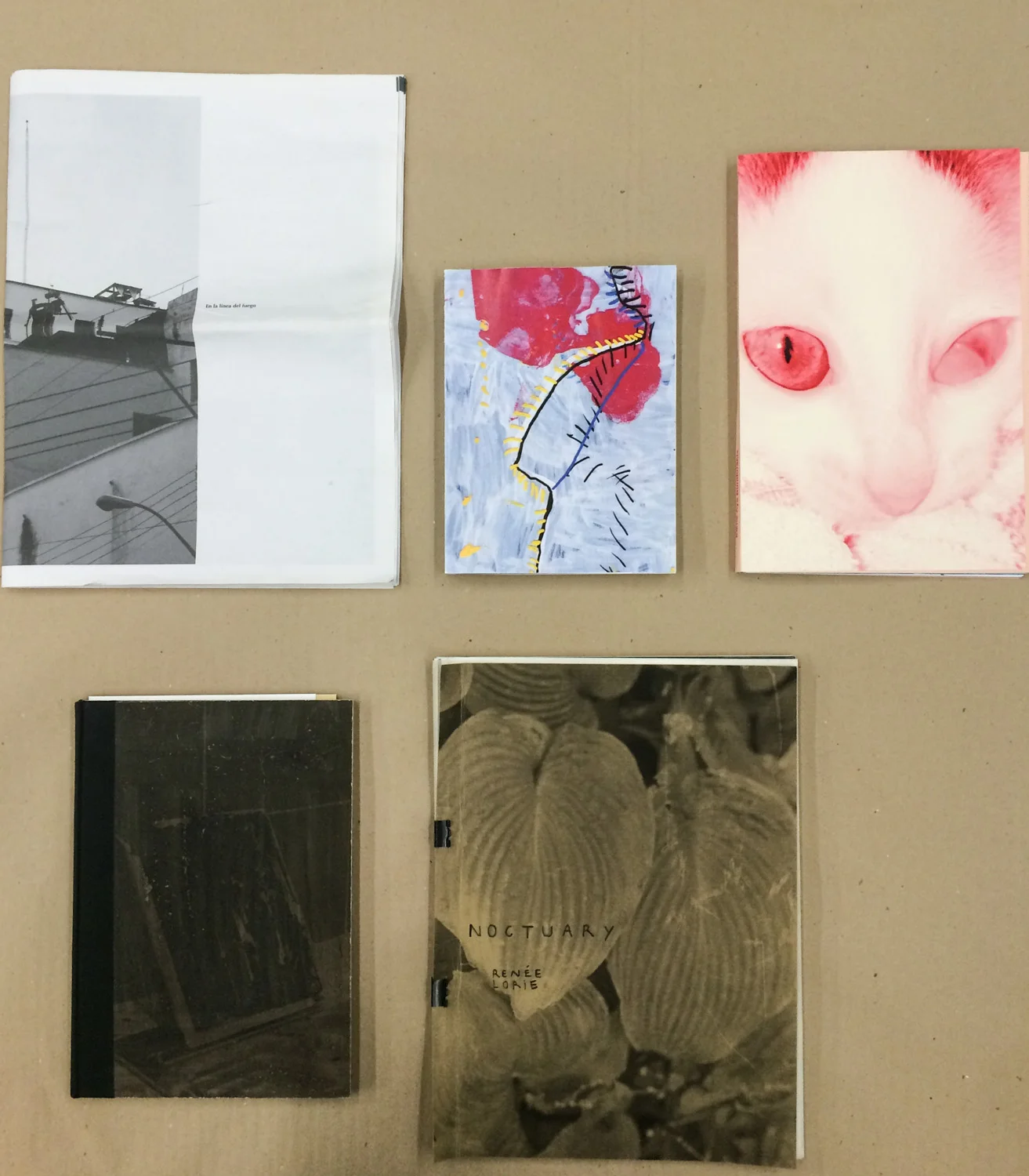 From left to right: "En la linea de fuego" by Anastasia Mityukova, "Here, Waiting" by Maroussia Prignot and Valerio Alvarez, "Eating Magma" by Elena Aya Bundurakis, "Zilverbeek" by Lucas Leffler (winner) and "Noctuary" by Renée Lorie.