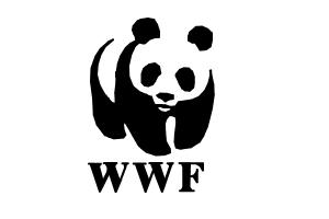 how-draw-wwf-logo.jpg