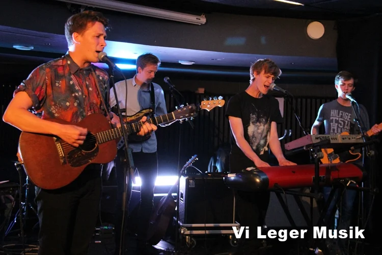 1-vilegermusik.jpg