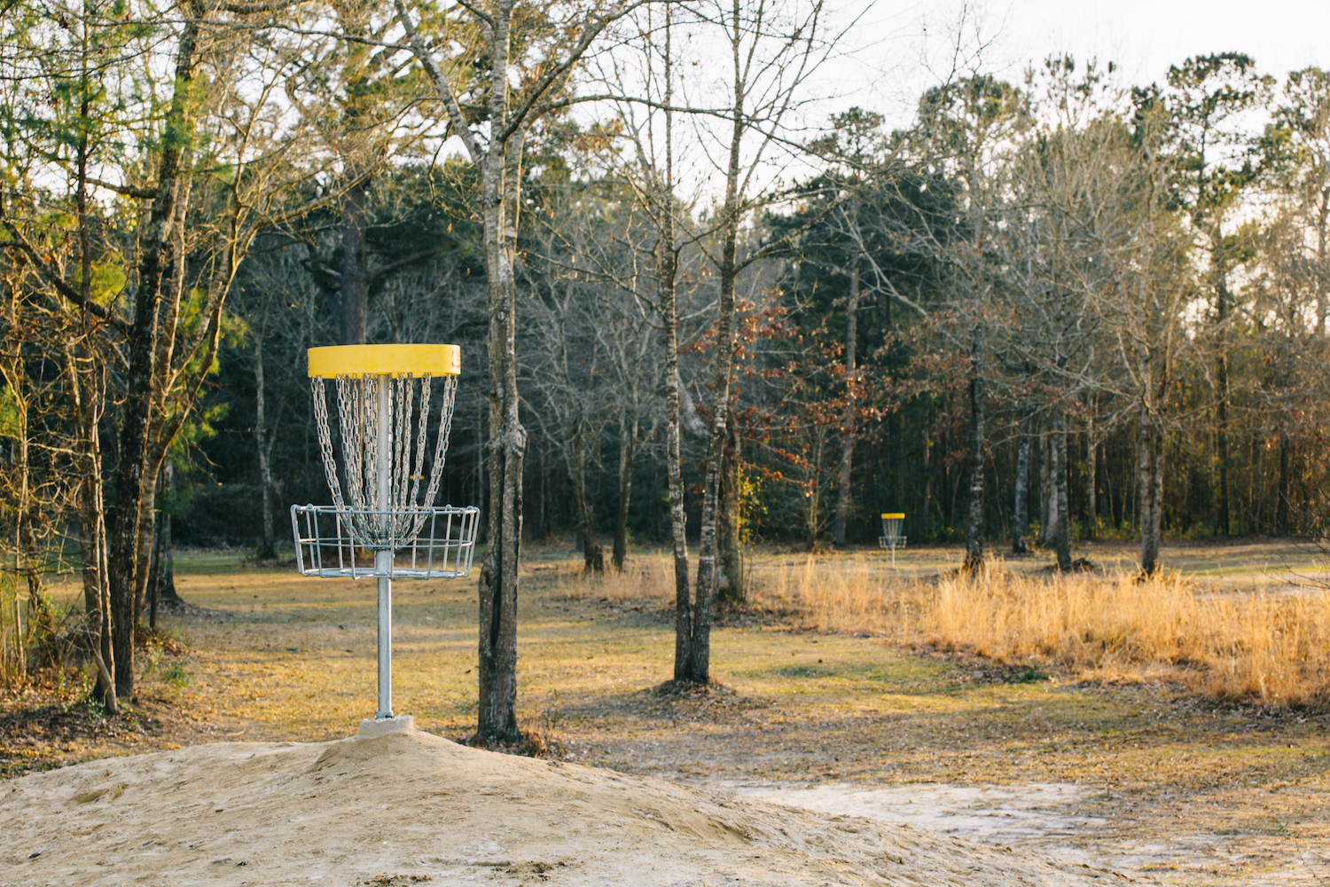 discgolf2.jpg