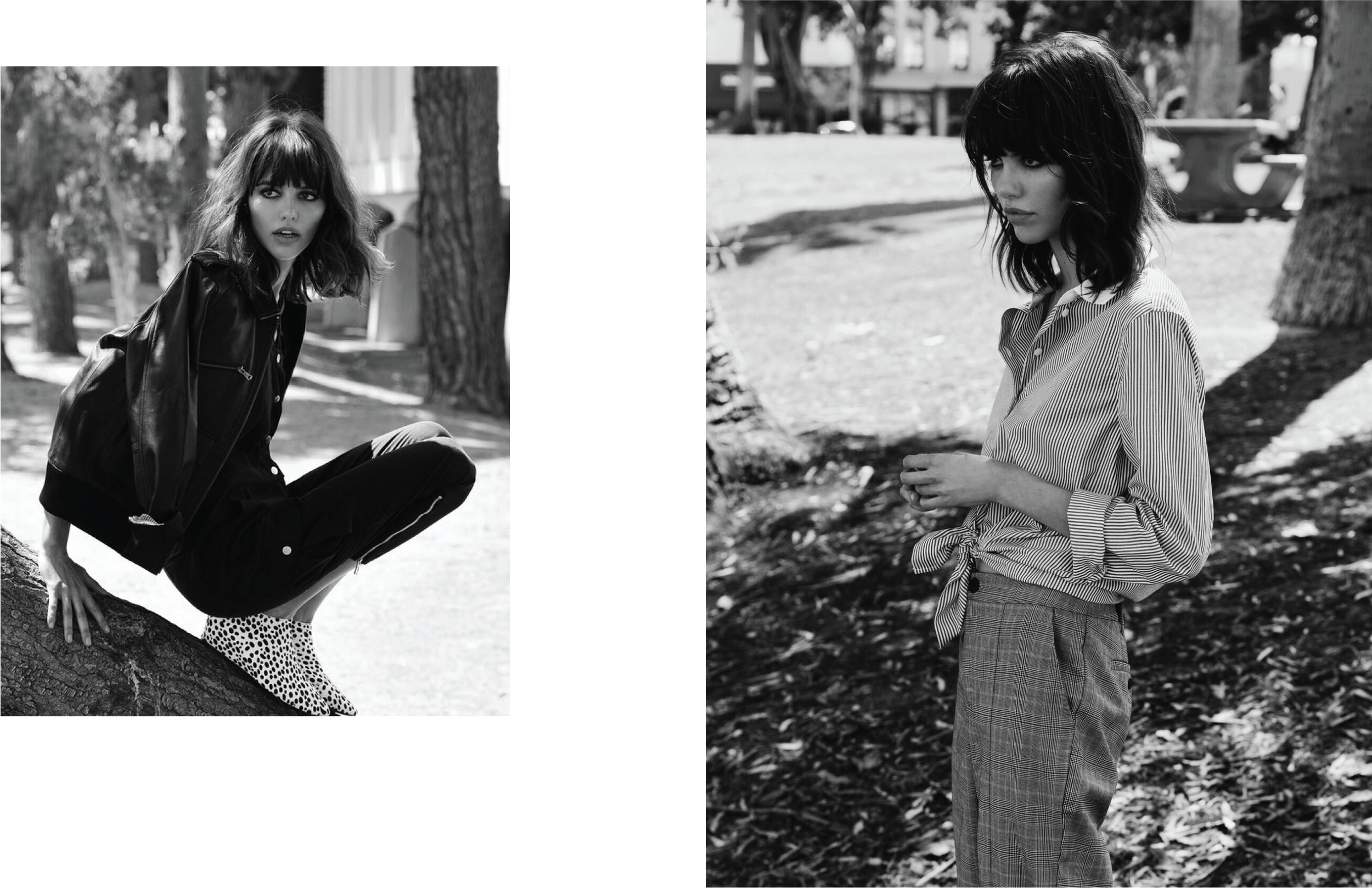 ALF_Website Samples-04.png