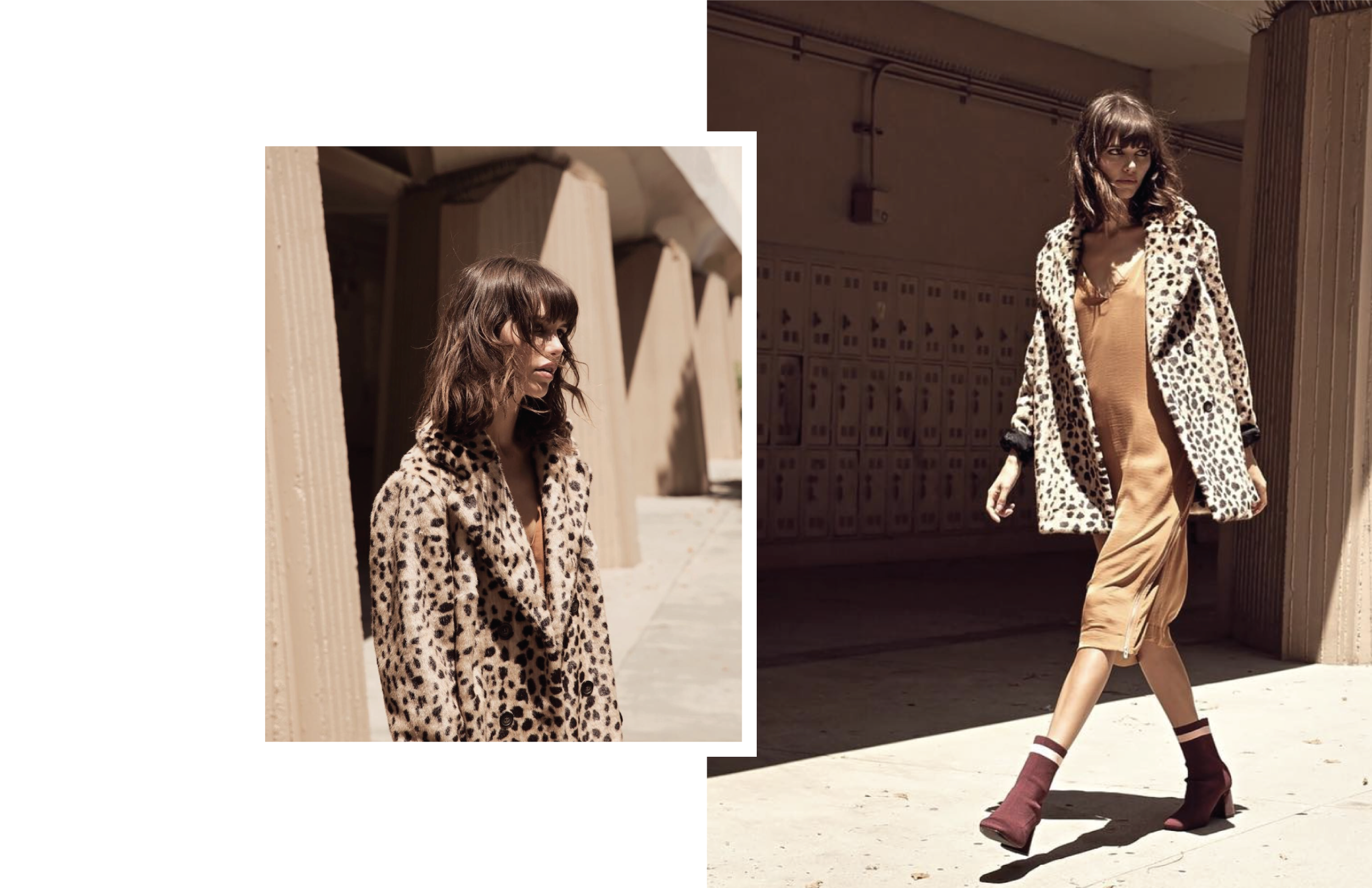 ALF_Website Samples-06.png