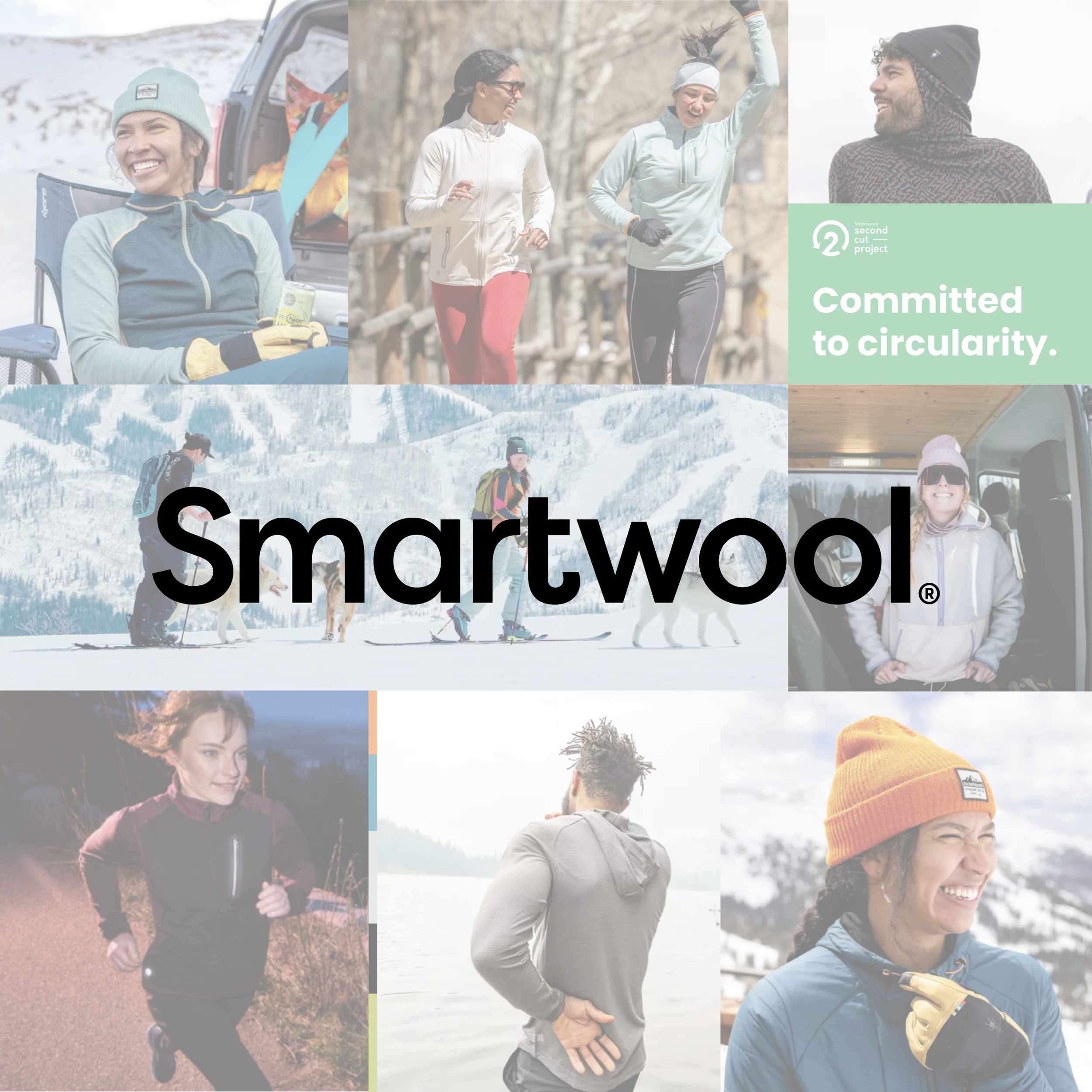 Smartwool Website Chip.png