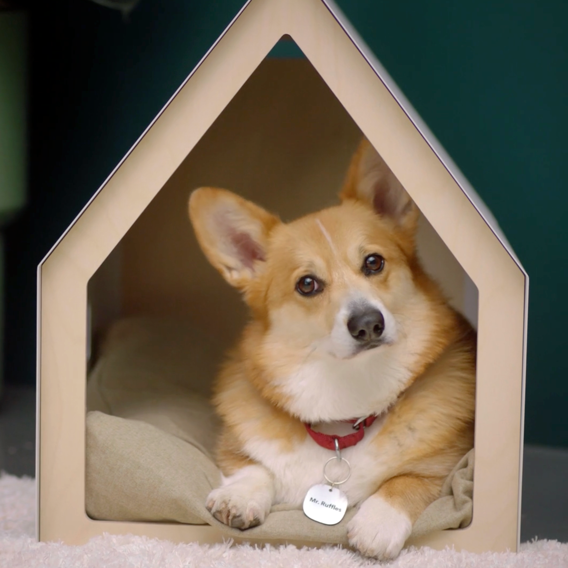 Screenshot 2026-02-06 at 8.02.44 AM.png