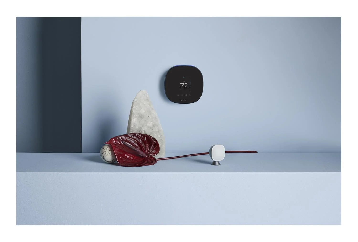 Still+life_-07 copy.jpg