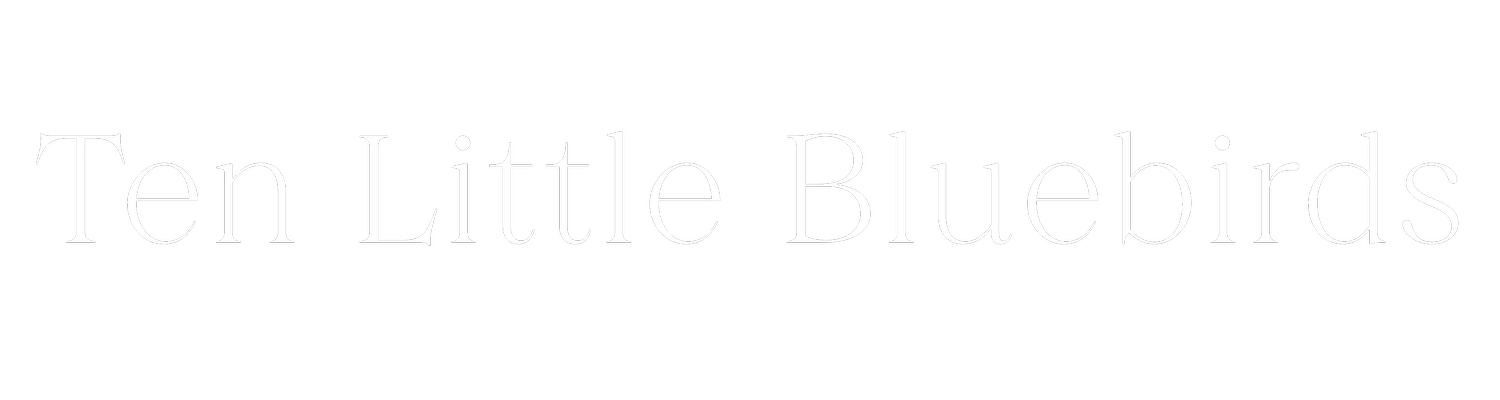 Ten Little Bluebirds | Newborn, Baby &amp; Family Photographer in Naperville &amp; Chicago