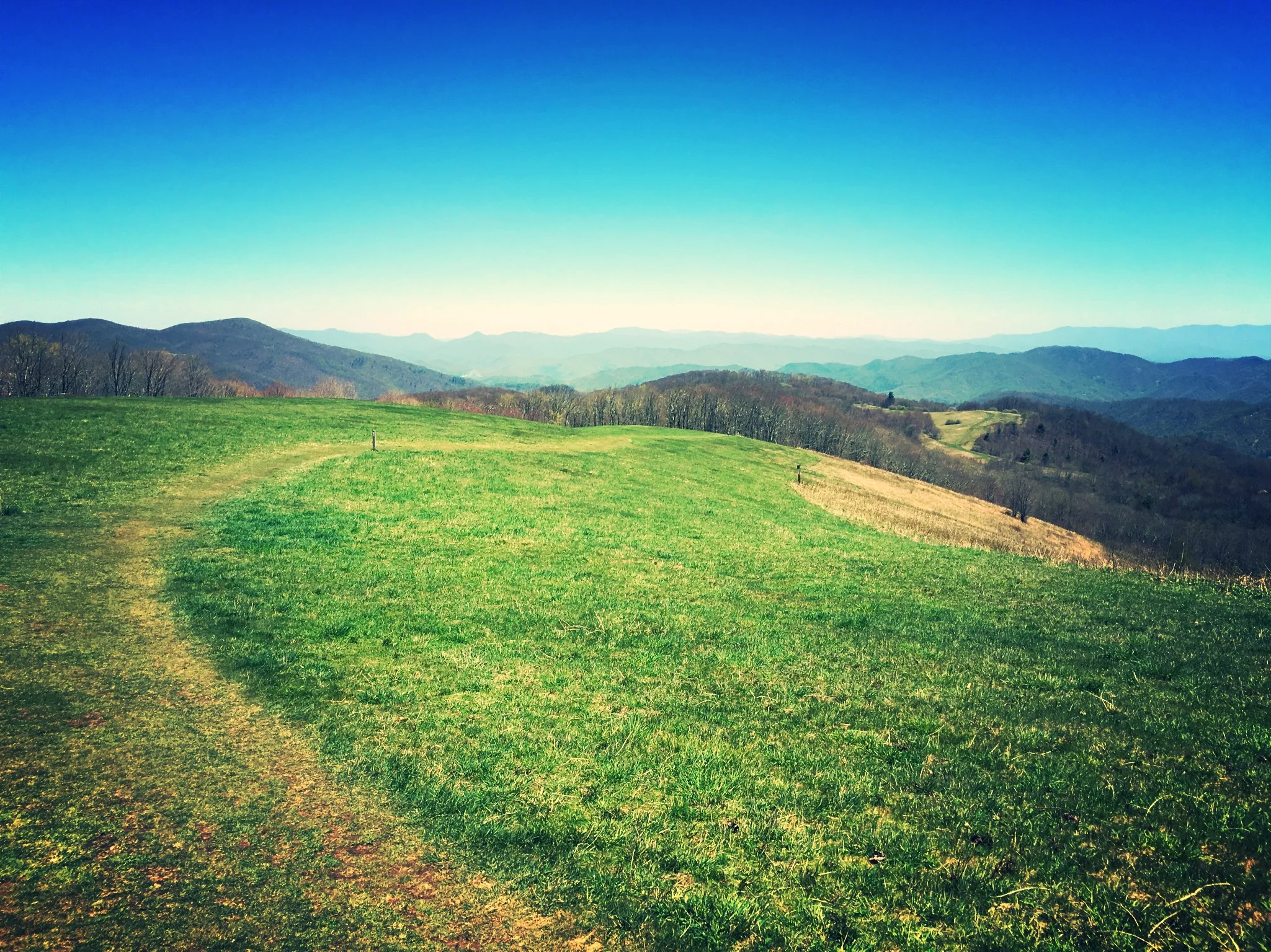 “Making an estate plan tells the people who love me that I love them, too”