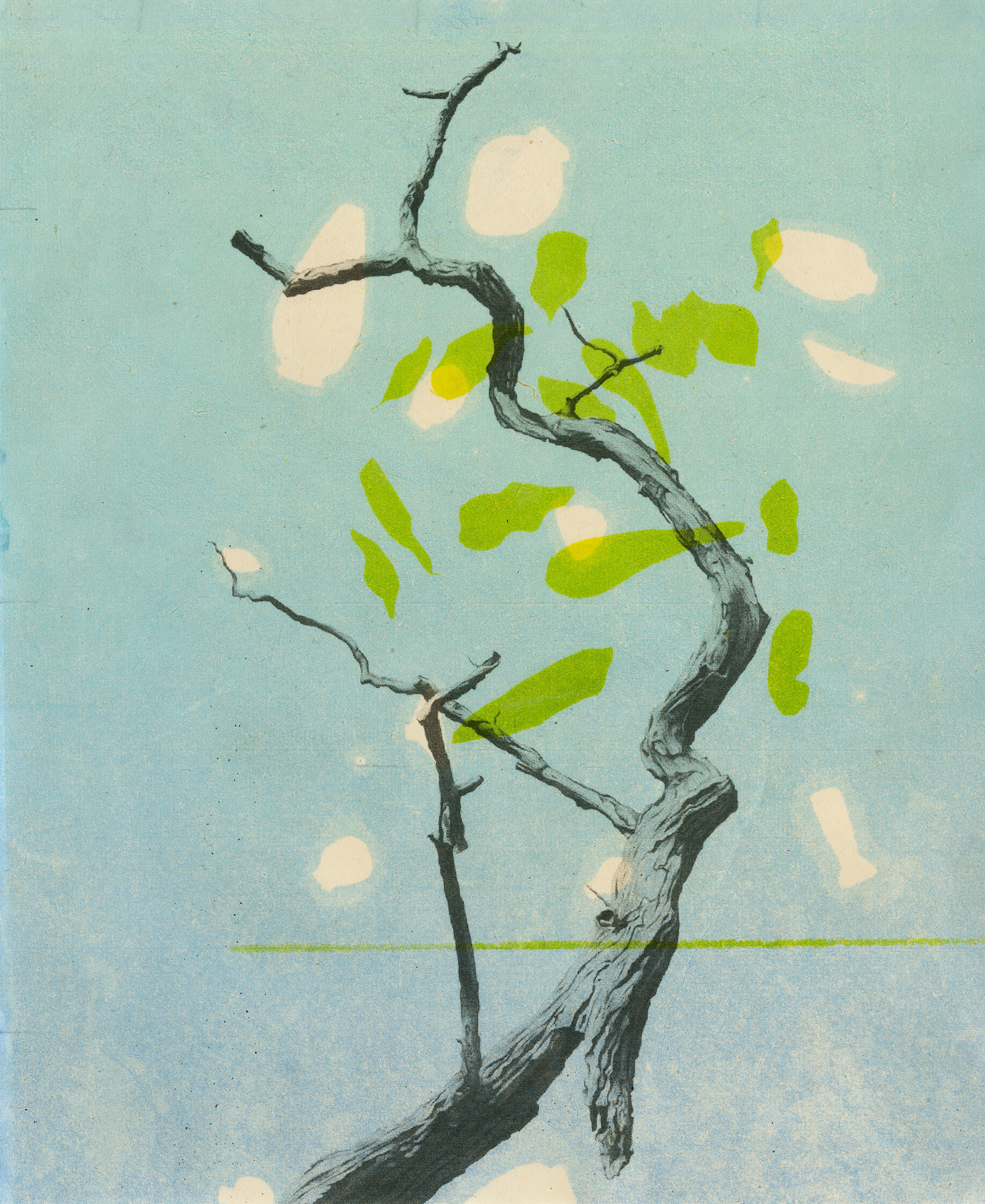 Witness - Blue Sky.png