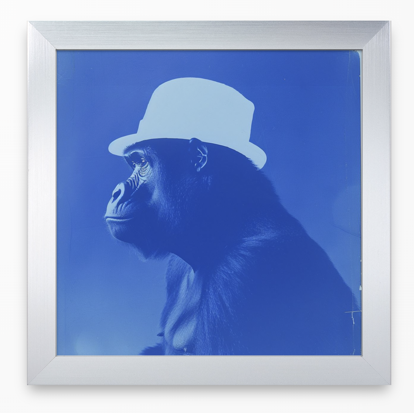 Screenshot 2025-04-14 at 12.19.52 PM.png