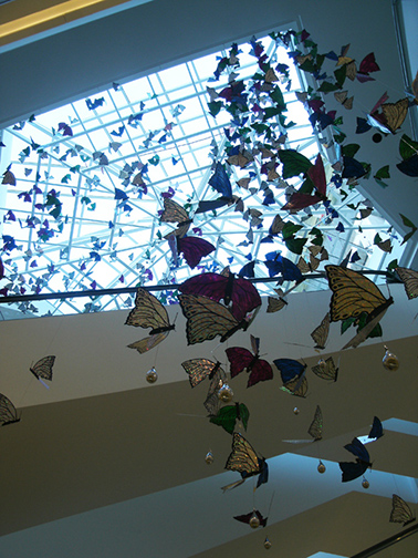 BUTTERFLIES, Los Molinos Mall, Medellin, Colombia
