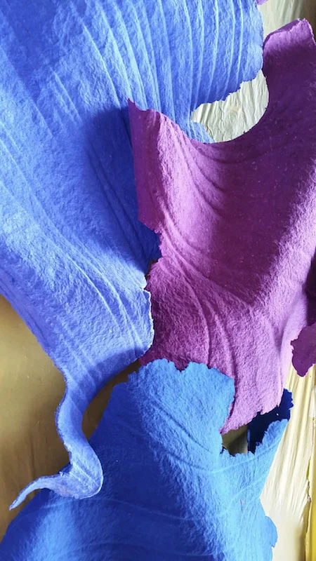 MARINE detail