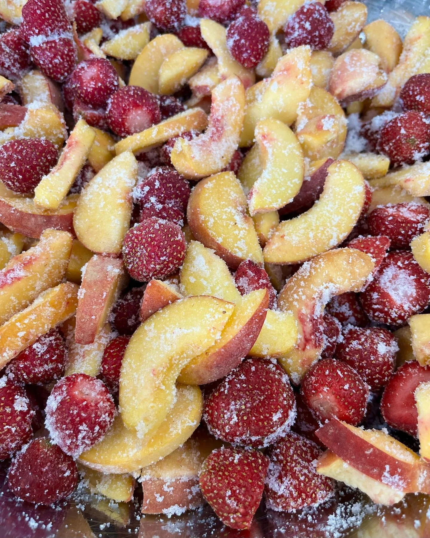 One of these days, warm weather will return, and along with it all kinds of seasonal goodies. Until then, we will just keep digging into all the peak perfect fruit we froze last summer! Peach/strawberry or tart cherry/rhubarb tarts in the freezers @p
