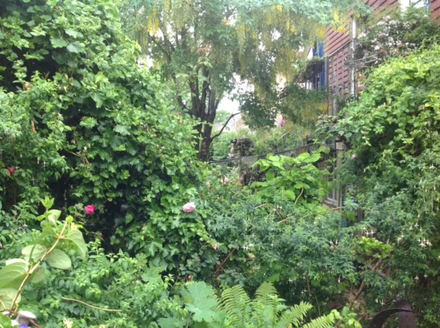 BHC Gardens.JPG