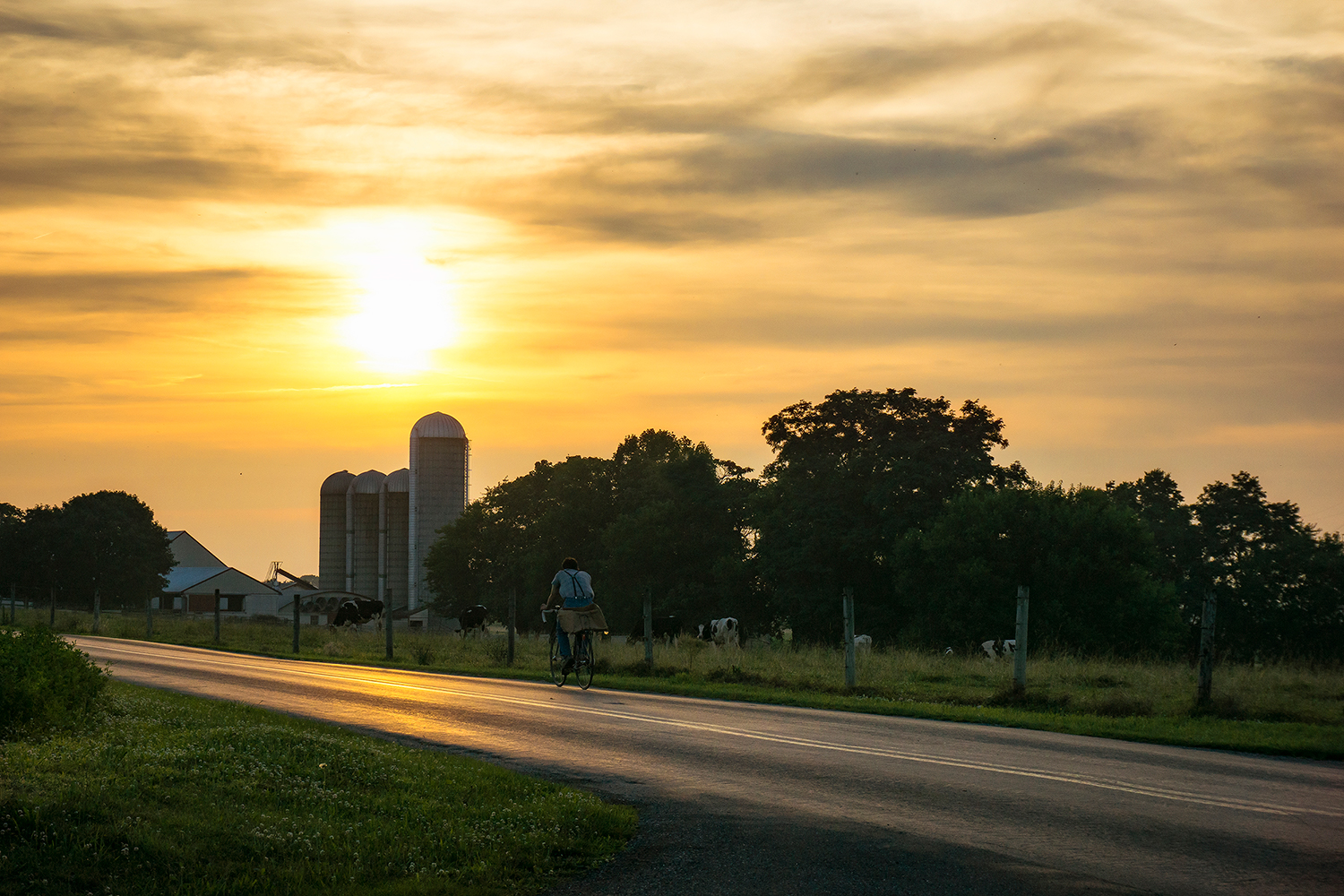1471 - sunset - mennonite bicycling at sunset.jpg