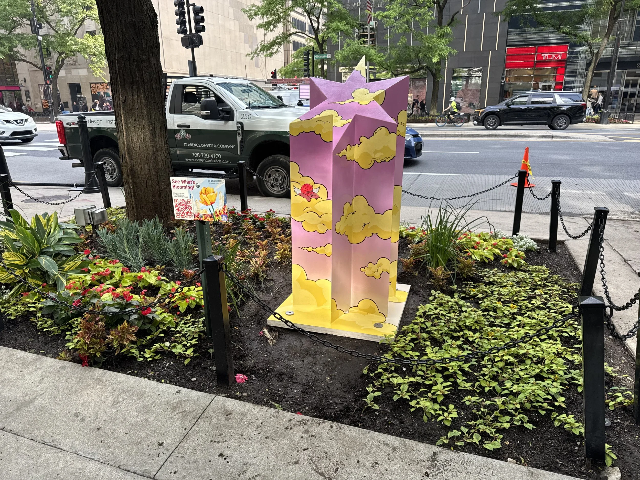 bianca pastel star.jpg