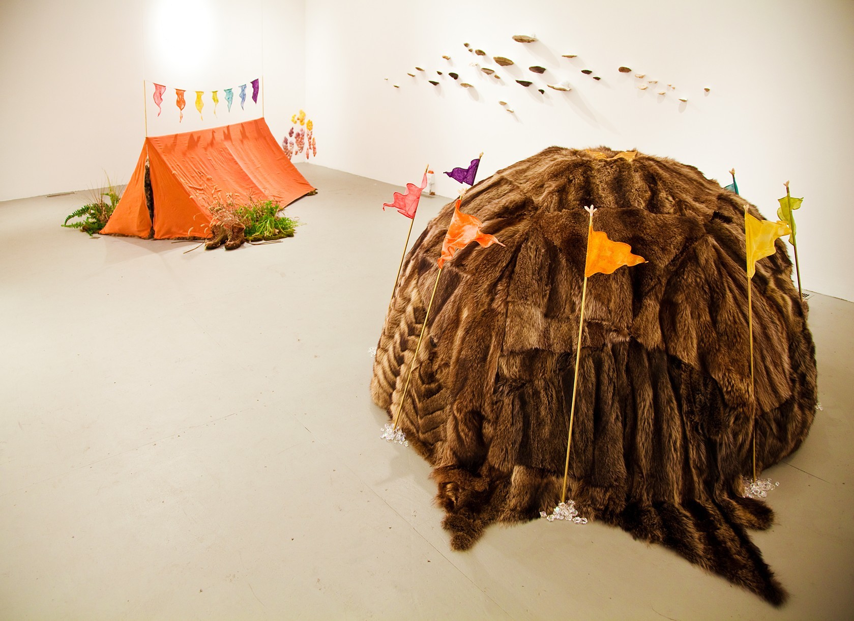 Jenny Kendler, Hall of Disappearing, Chicago Artists Coalition.