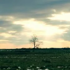 "You are exactly where you are supposed to be...."