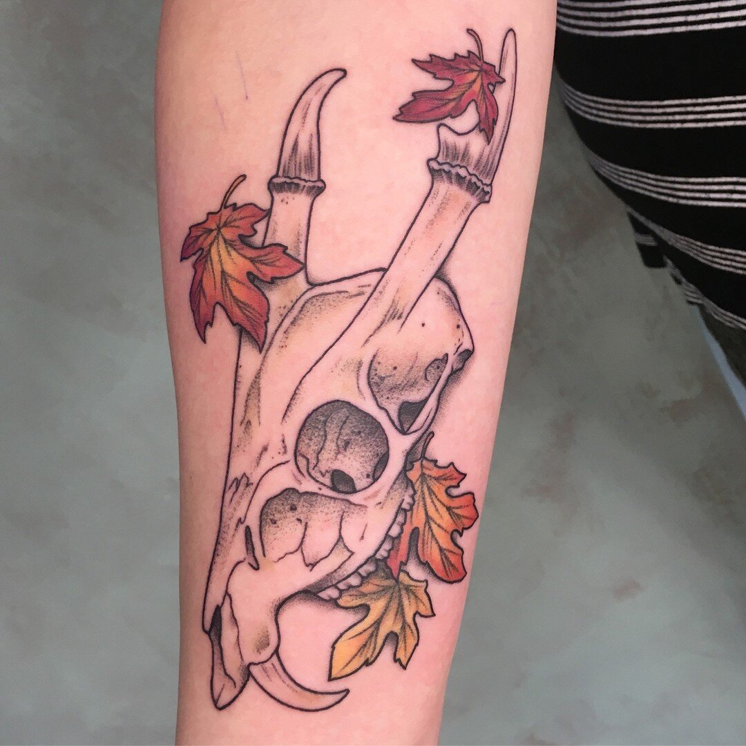 Spooky season is upon us! Muntjac skull made by @jamesmariebunny 🦌 Her books open soon 👀

#colortattoo #colortattoos #colorinfusedblackandgrey #skulltattoo #muntjactattoo #fall #spookyseason #SpookySeasonIsComing #omahatattooshop #omahatattooartist
