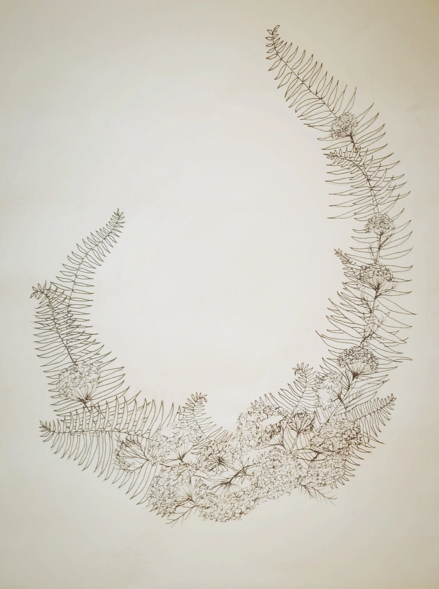 Fern & Lace Logo.JPG