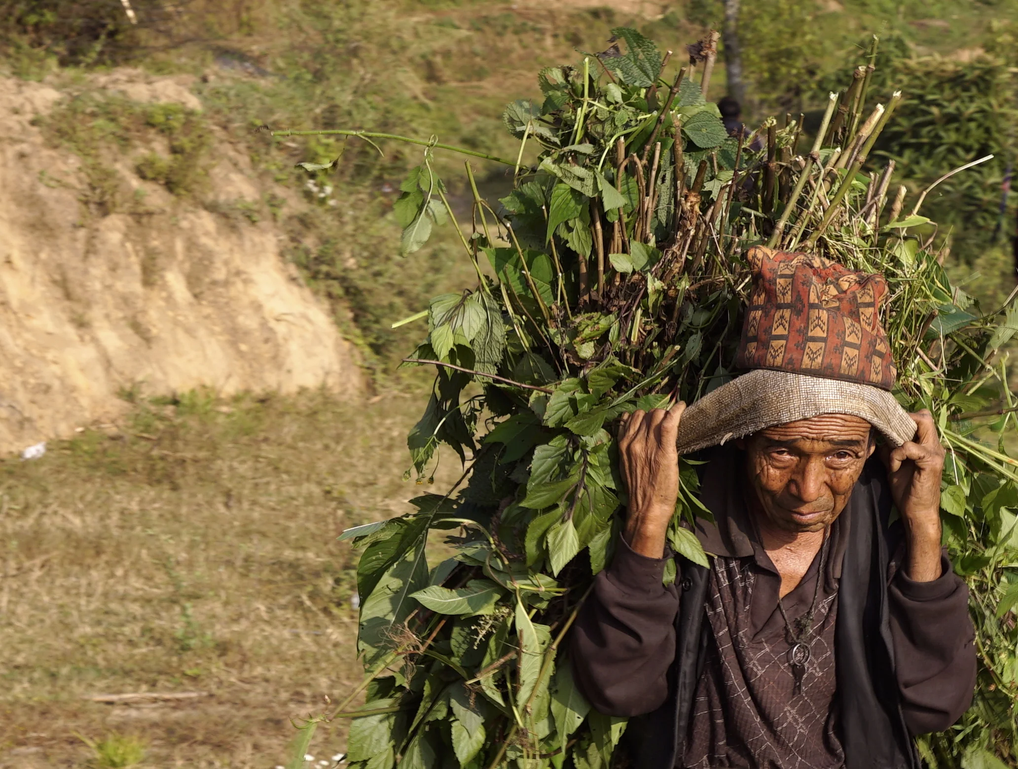  Farmer Returns Home - Takure, Nepal, October 2015 