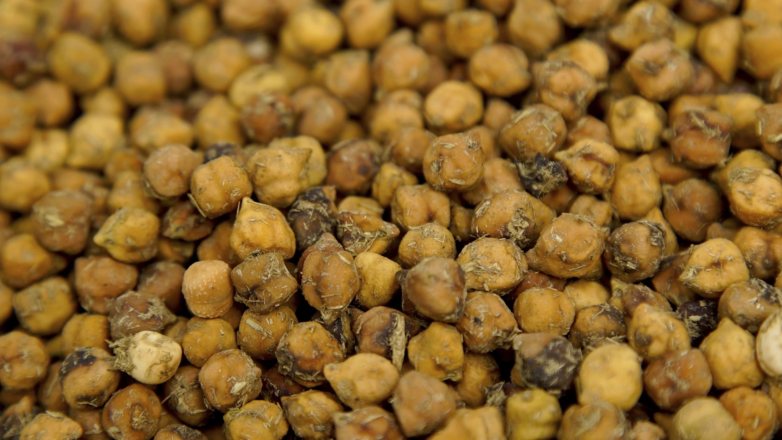  Cow Dung Fertilizer - Uttar Pradesh, India&nbsp; 