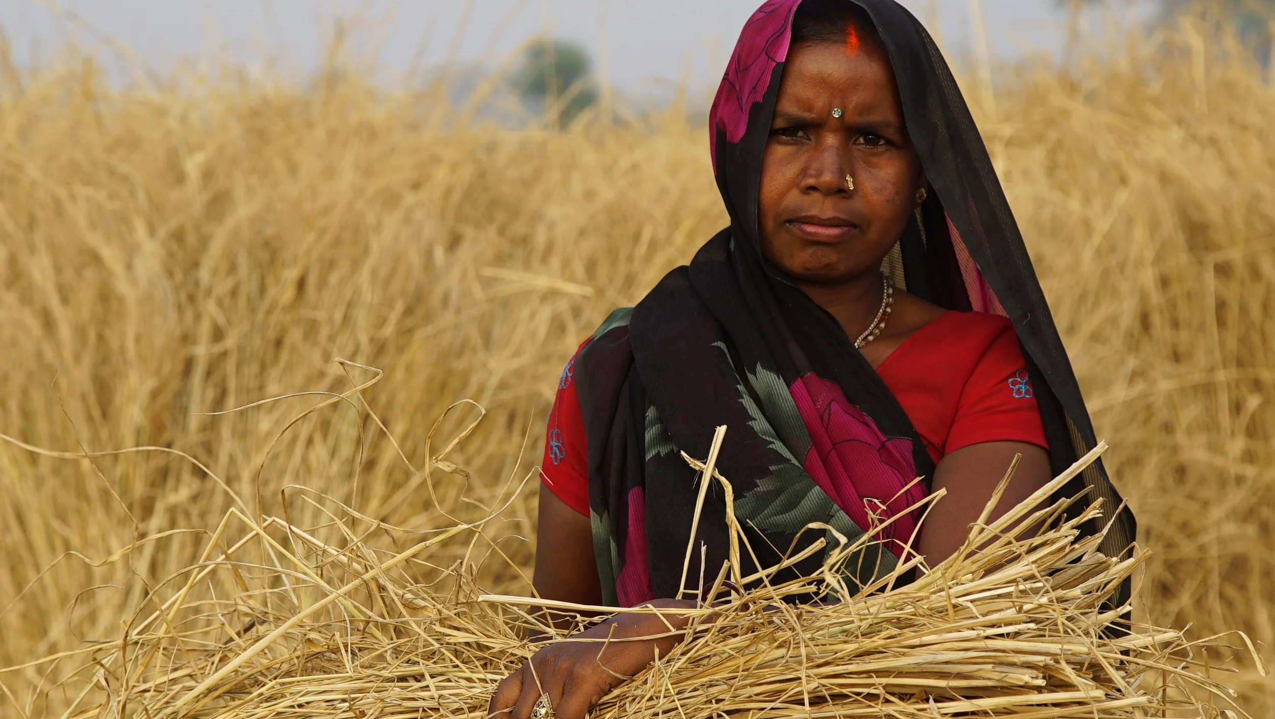  Work to do  - Uttar Pradesh, India 