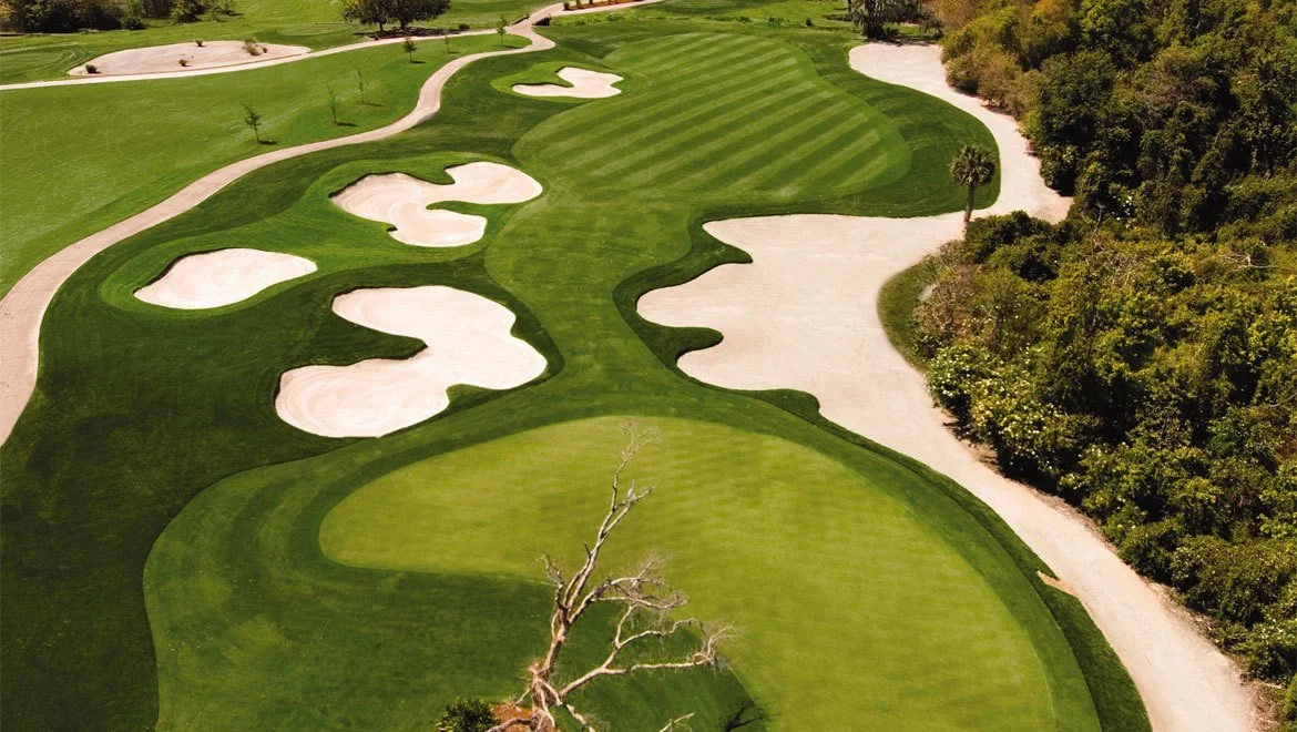 THE FIRST TEE