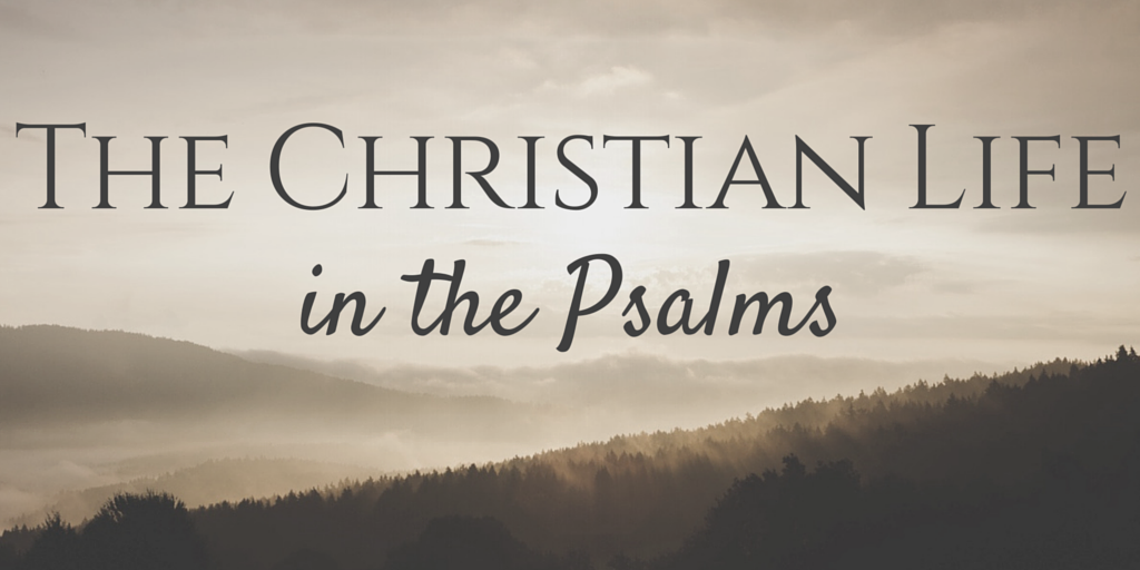The book of Psalms is one of the most used books in Christian history as a book of personal as well as congregational application--used as prayers, as songs, and as pieces of meditation both in the New Testament and throughout the centuries of the church after the first century. This book highlights Christian duties, it underscores Christian beliefs, presents honest experiences, and magnifies Jesus as our Lord and Savior. It connects with our honest struggles and points us to the source of true hope. This series is the first of several that will consider the Christian Life as informed, directed, and encouraged by the Psalms.