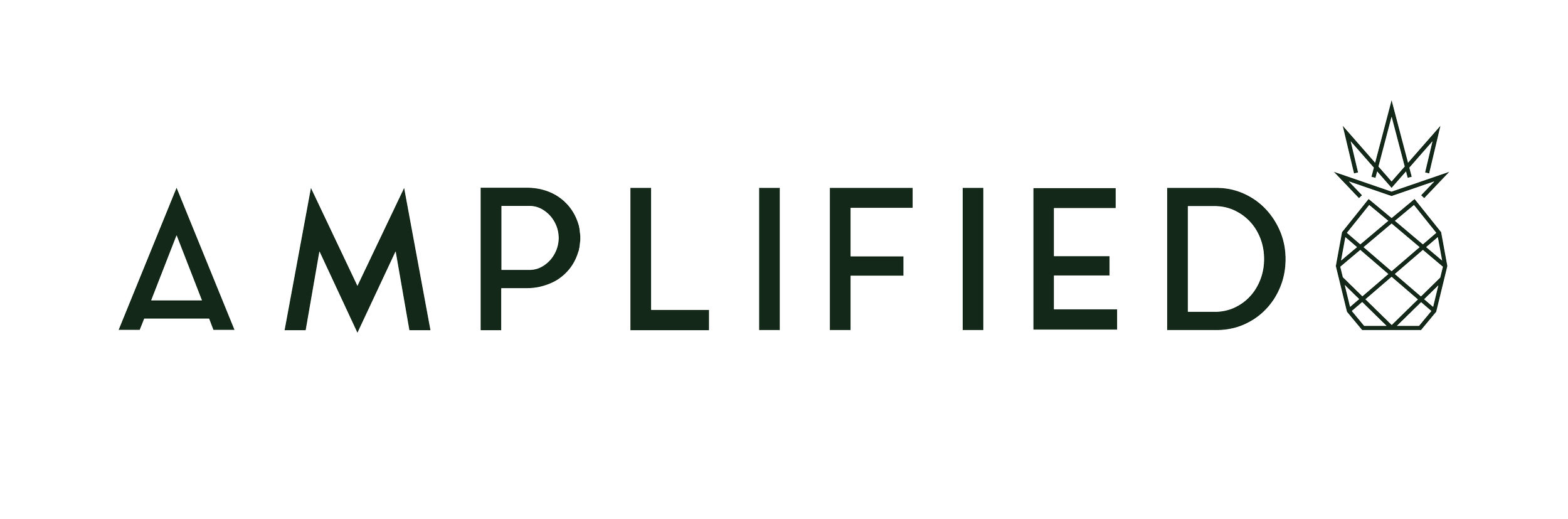 Amplified Marketing