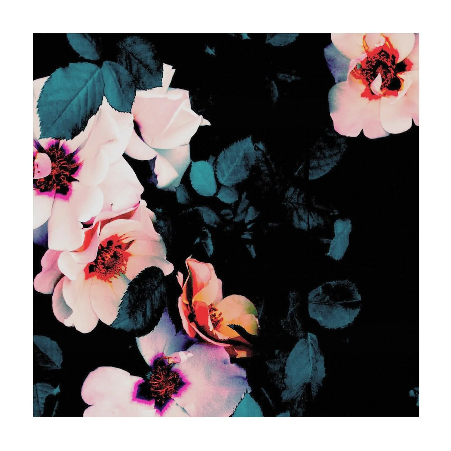 Today I thought I would share a floral design from my archive. 
I designed this many years ago, but it is still popular with customers all over the world today.
In the past flowers held deep meaning  and symbolism with different cultures. Today flora