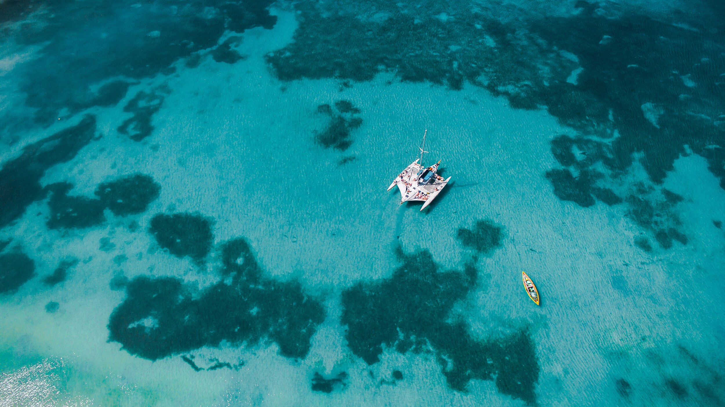El Cielo, Palancar, and Colombia: The Gems that Make Cozumel an Underwater  Eden — Magazine by Maya Luxe