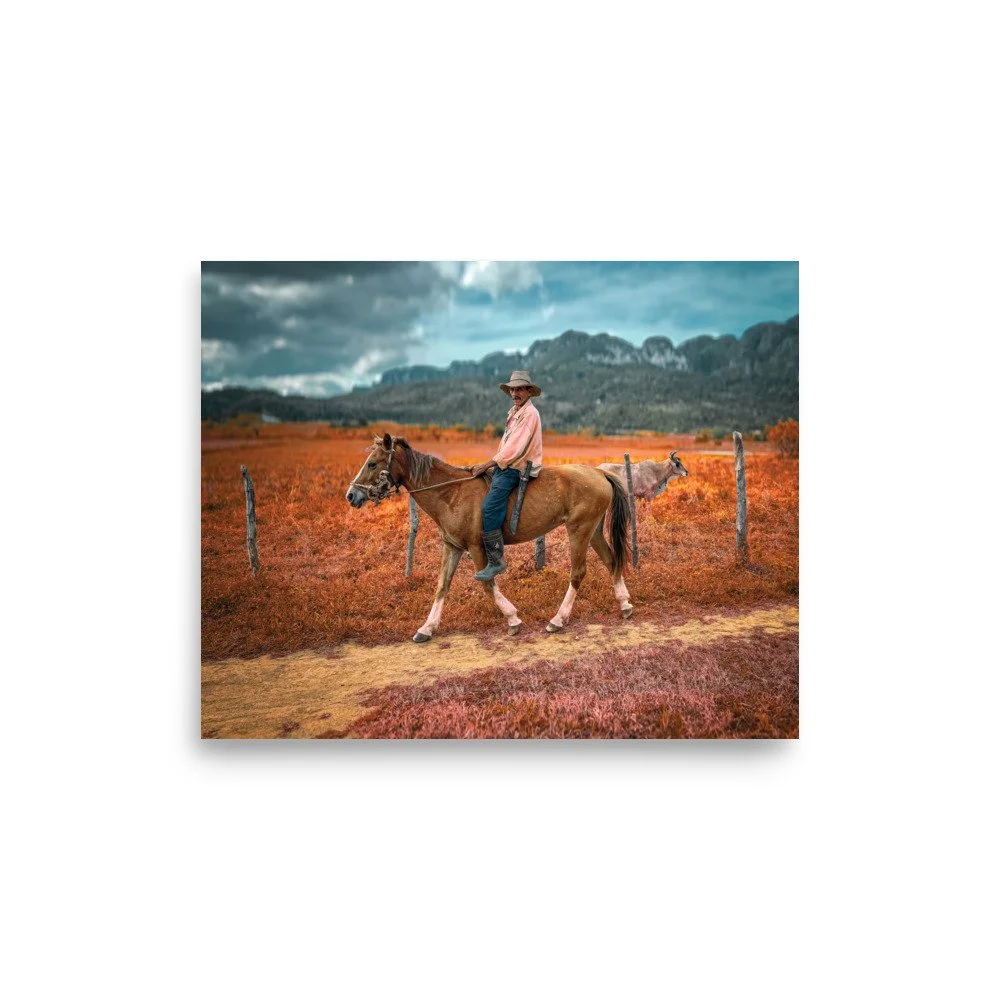 premium-luster-photo-paper-poster-(in)-8x10-front-67b23f01e5b1b.jpg