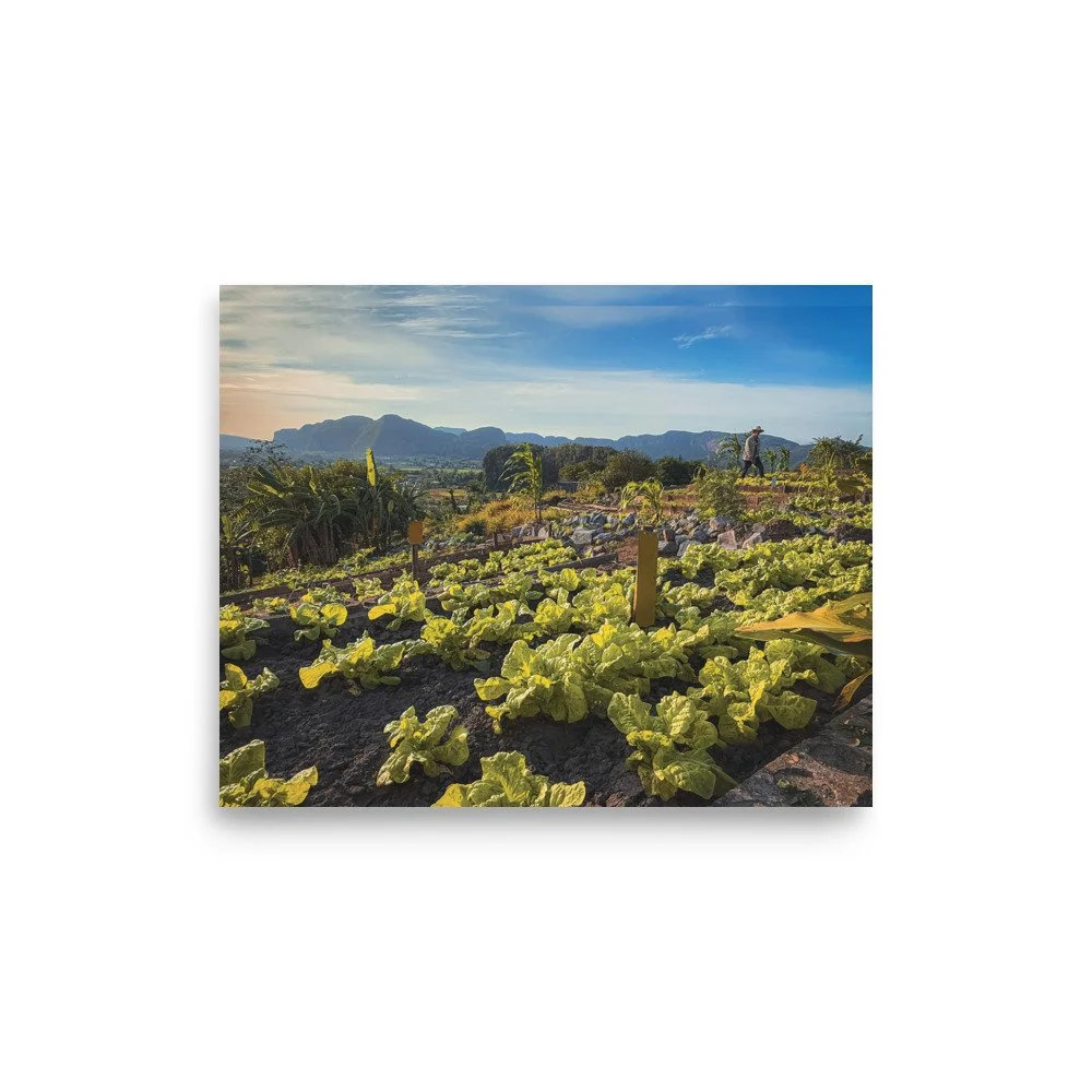 premium-luster-photo-paper-poster-(in)-8x10-front-67b24c60d55f5.jpg