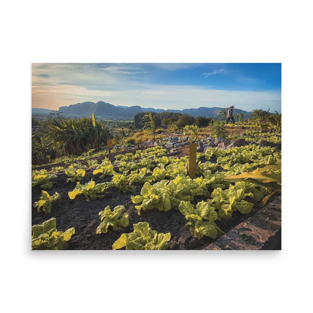 premium-luster-photo-paper-poster-(in)-18x24-front-693875a7530c1.jpg