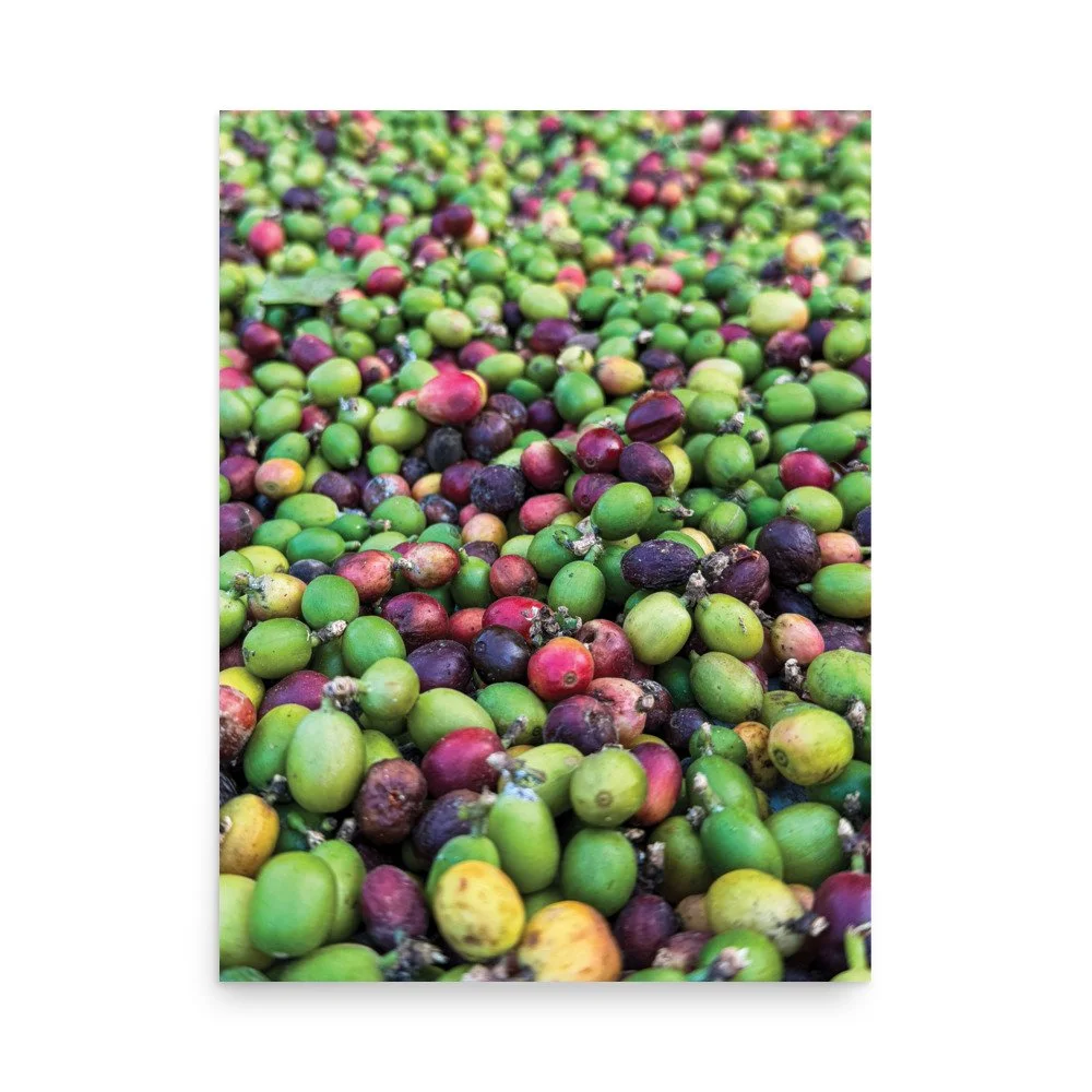 premium-luster-photo-paper-poster-(in)-18x24-front-693879073a08f.jpg