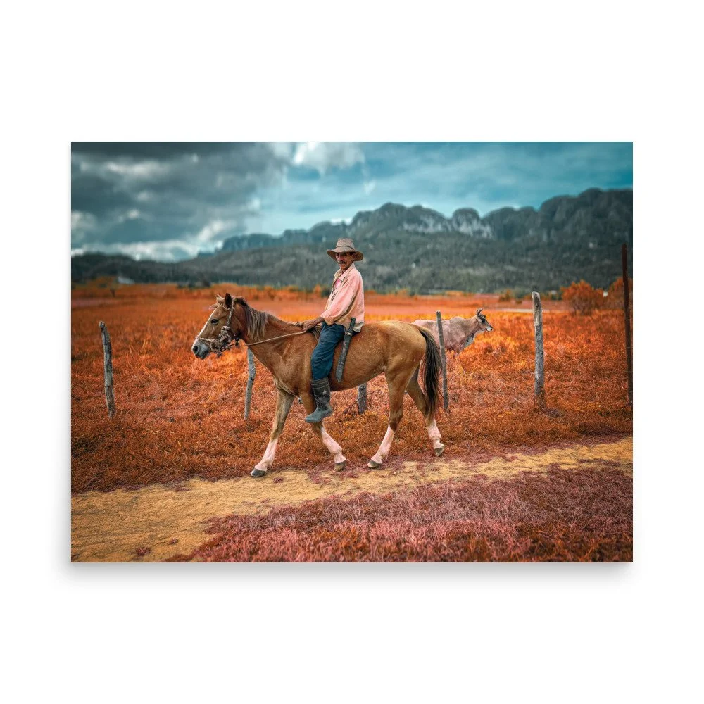 premium-luster-photo-paper-poster-(in)-18x24-front-693895820a3aa.jpg