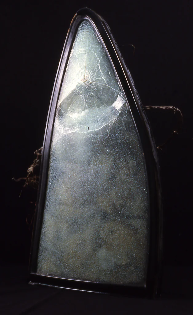 Shield