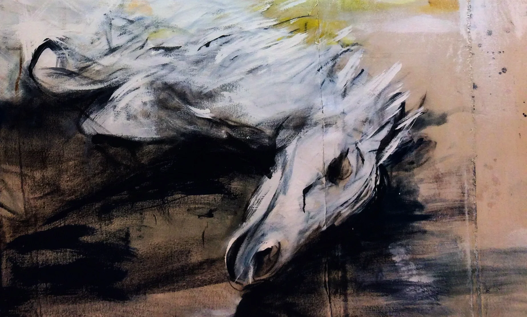 Visitor, detail