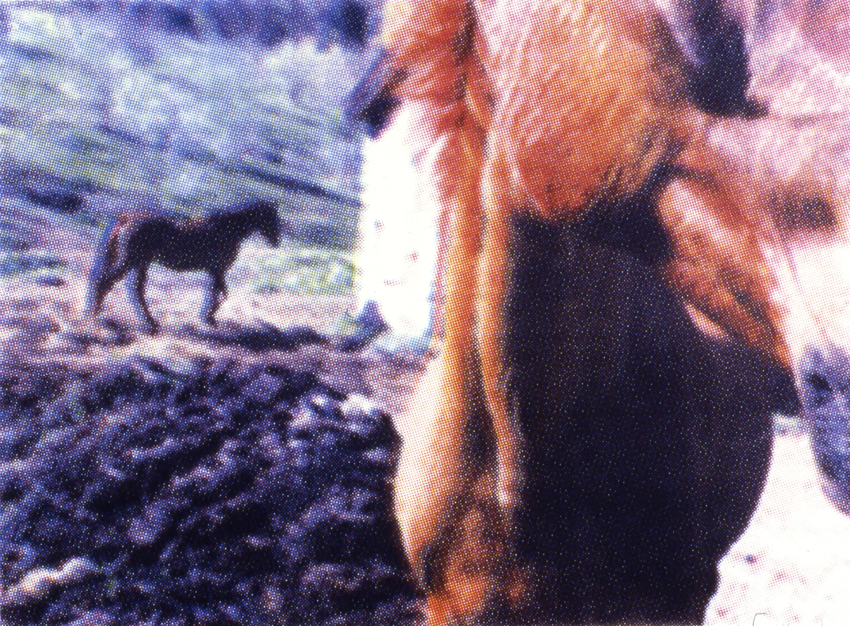 Bridgitte's Farm