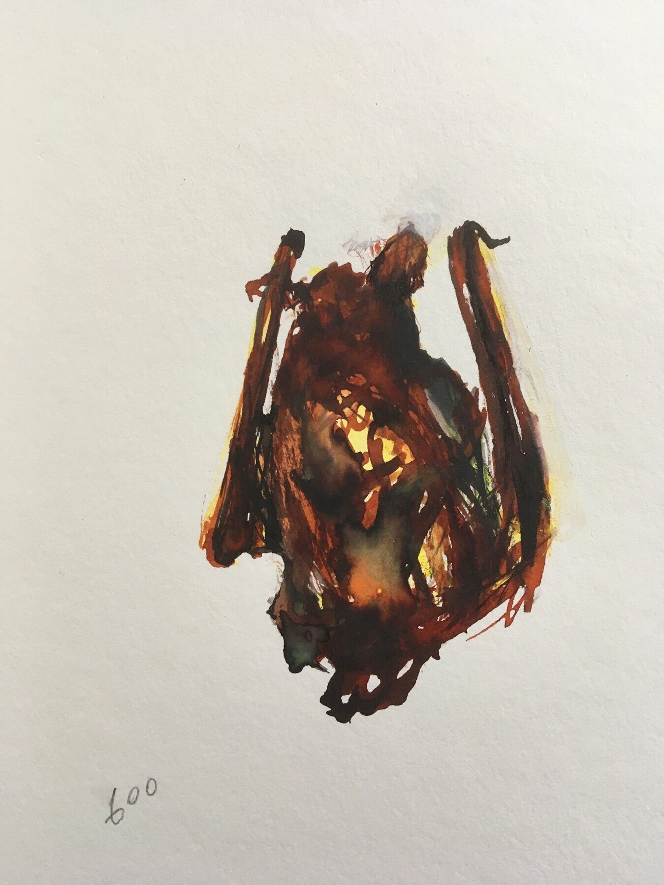 Bat #600