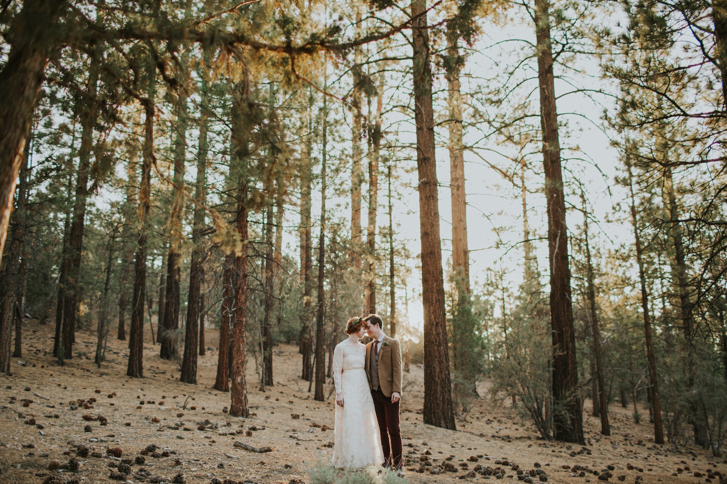 bride and groom portraits (9 of 79).jpg