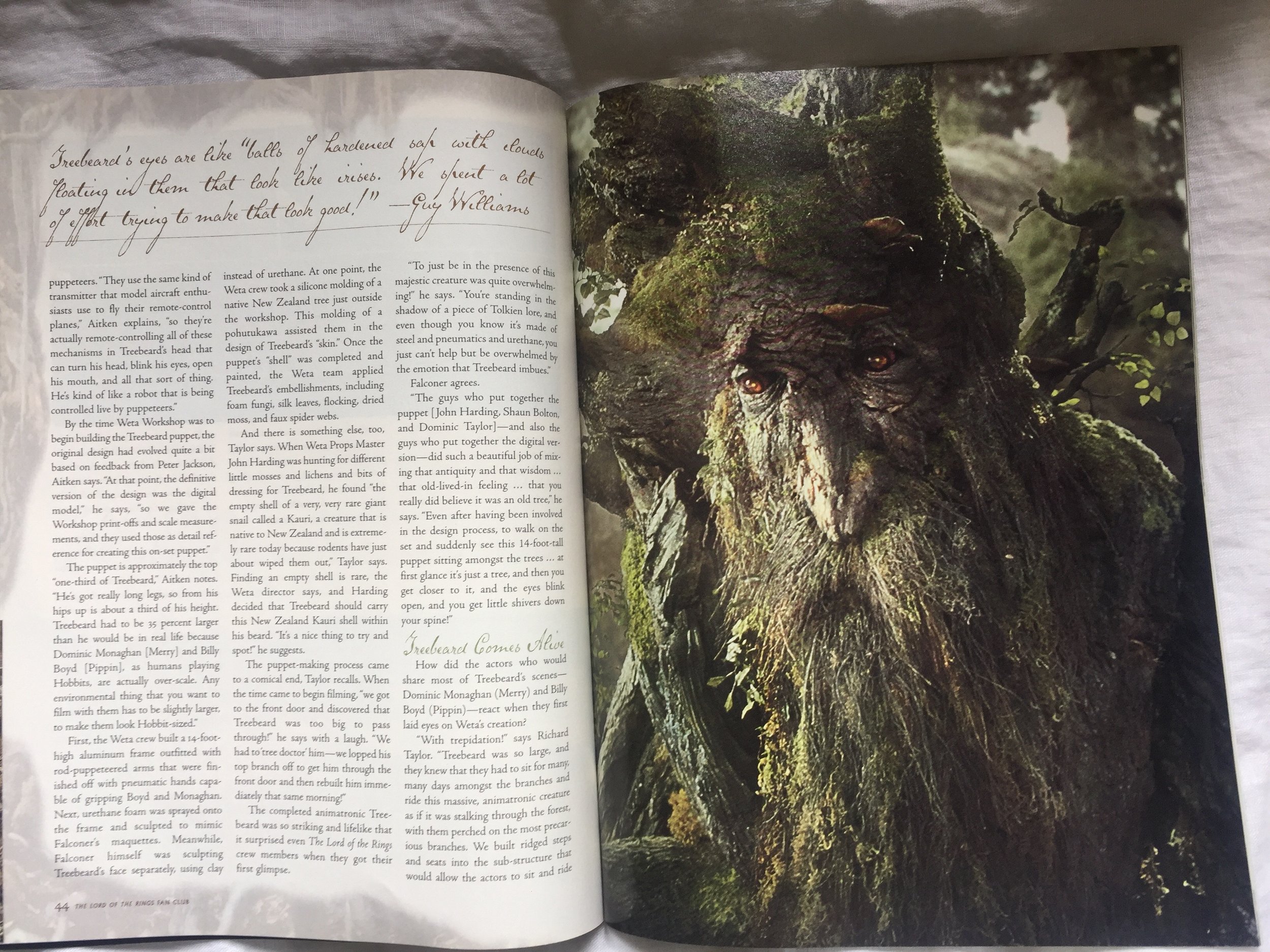 TreebeardSpread2.jpg